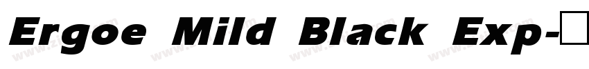 Ergoe Mild Black Exp字体转换